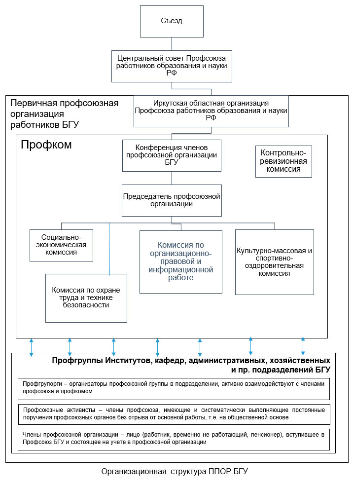 Организационная структура